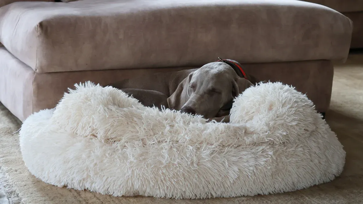 The Ultimate Guide to Choosing the Best Pet Bed for Your Dog or Cat