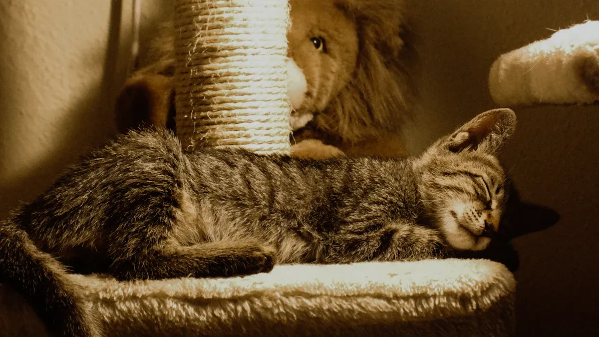 Top 10 Best Cat Trees for Large Cats in 2025