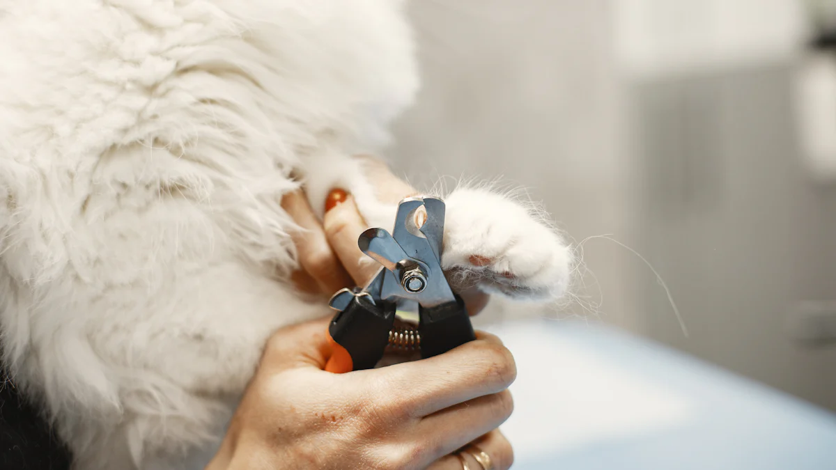 Types of Cat Nail Clippers Explained