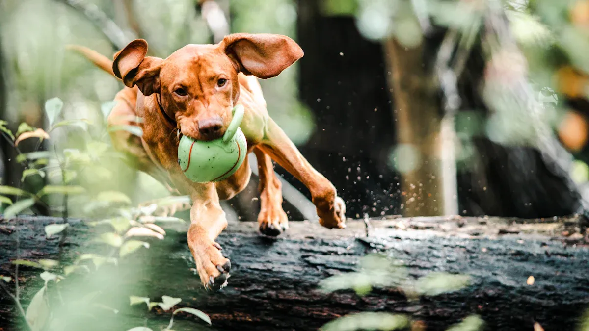 Top 10 Best Indestructible Dog Toys for Aggressive Chewers in 2025