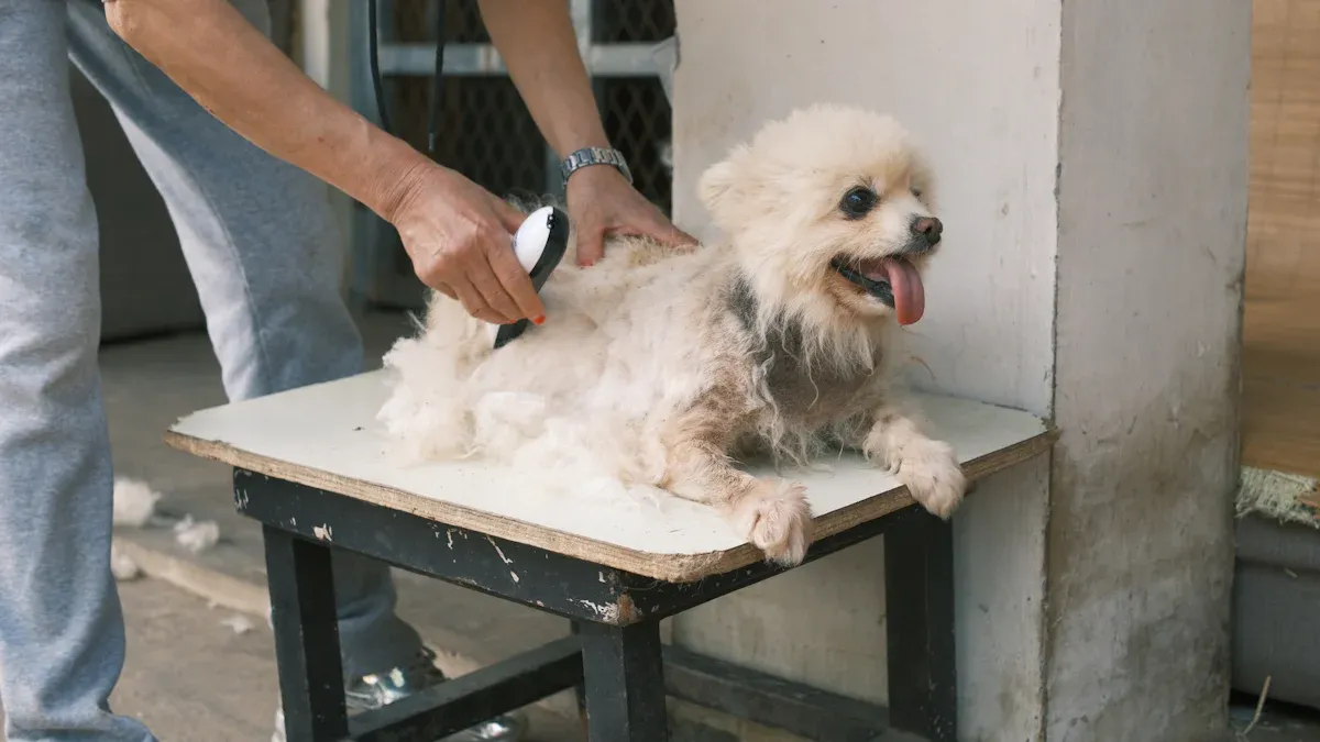 10 Effective Tips to Reduce Dog Shedding at Home
