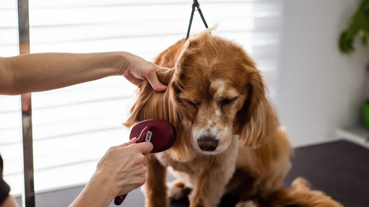 Bathing to Reduce Dog Shedding