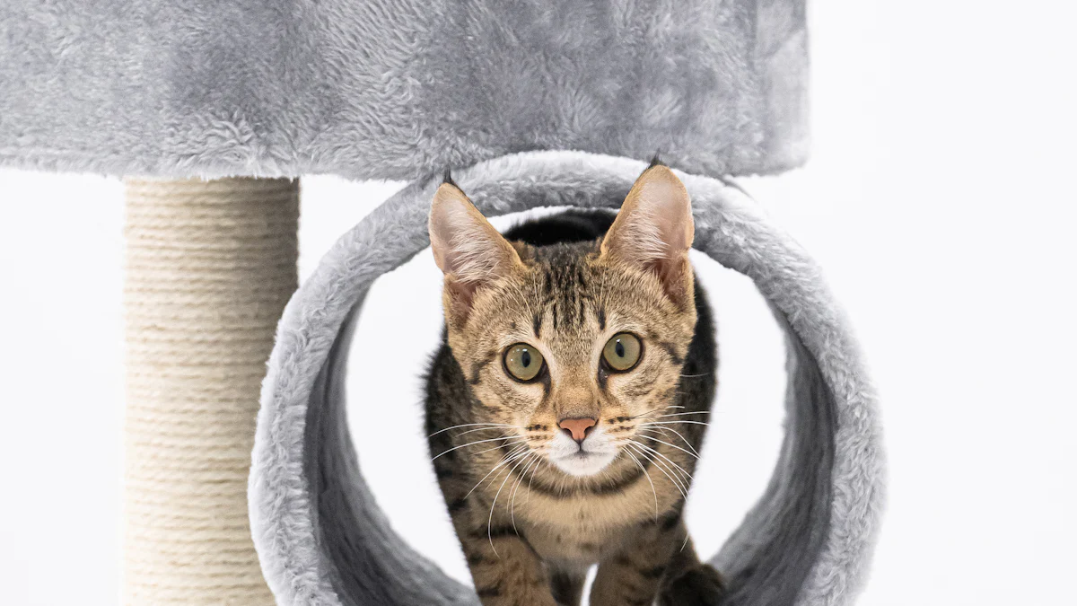 How to Choose the Best Hanging Cat Bed