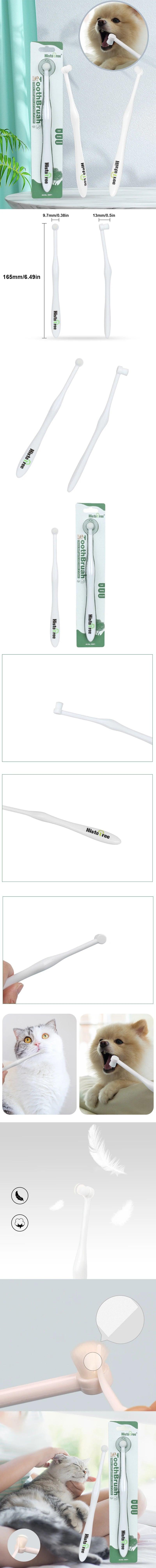 How to Use a Dog Toothbrush to Stop Bad Breath