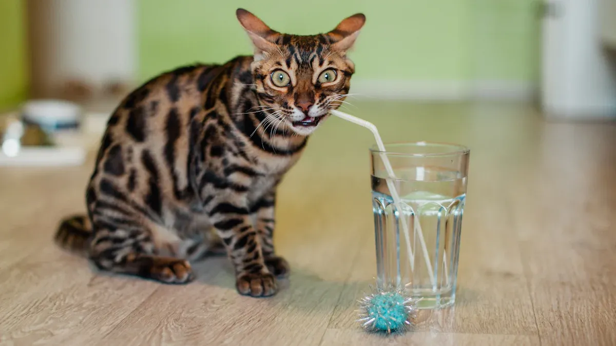 10 Easy Ways to Encourage Your Cat to Drink Water