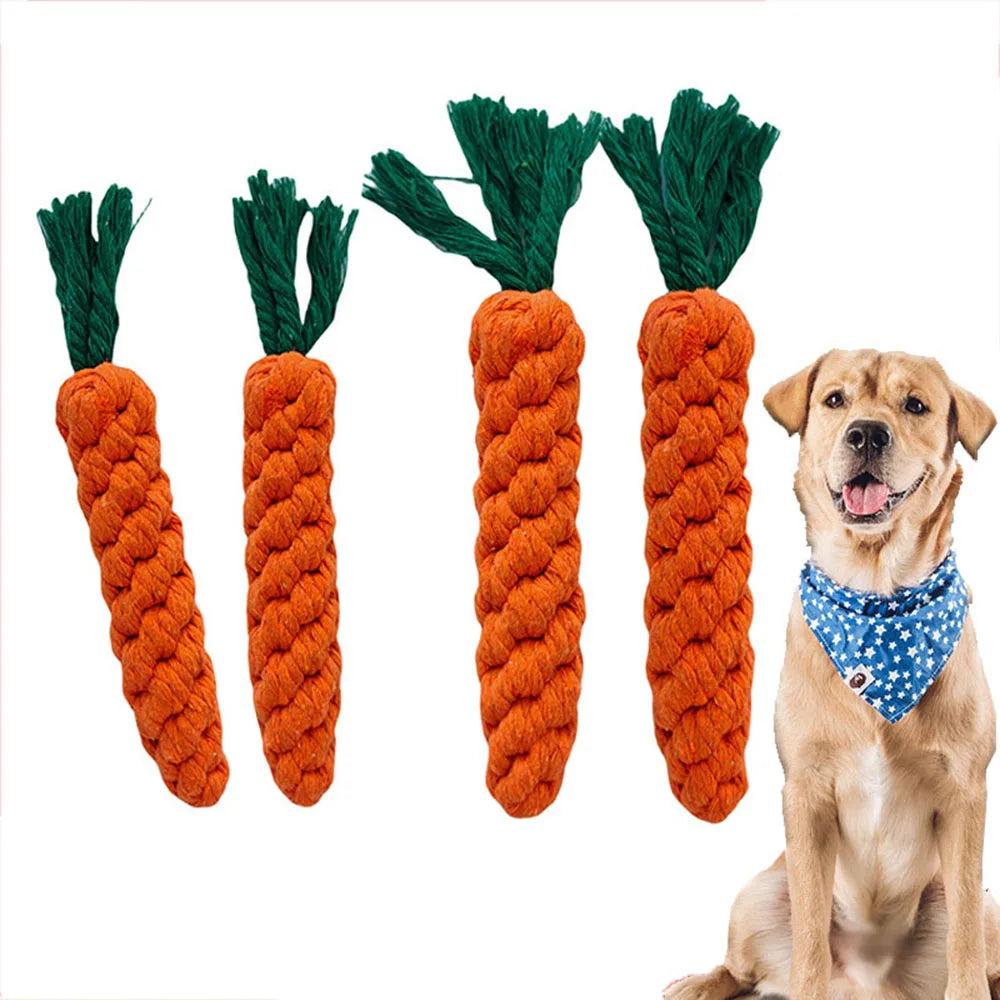 Interactive Fun for Dogs of All Sizes