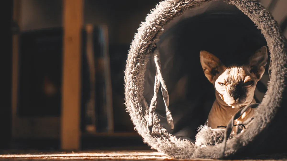 How to Clean Cat Tunnel: Best Cleaning Tips for Cat Owners