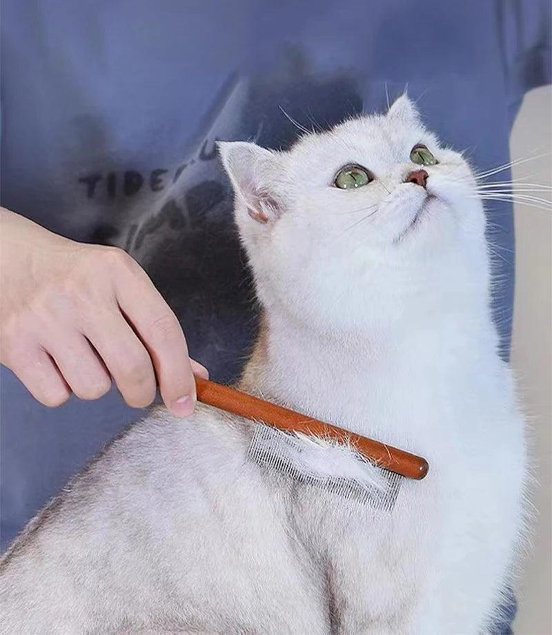 Tips for Managing Cat Shedding with a Cat Hair Brush