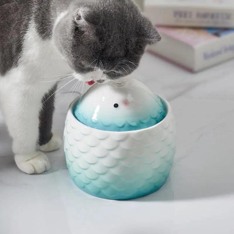 Why Proper Hydration Matters for Pets & How a Pet Water Fountain Helps