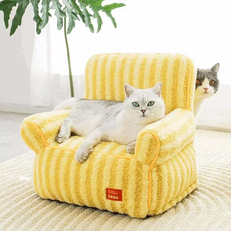 Enhances Your Home Environment with Cat Couches