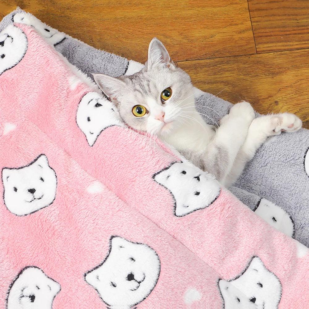 Why Cats Instantly Love Gabby Whale Heated Cat Beds