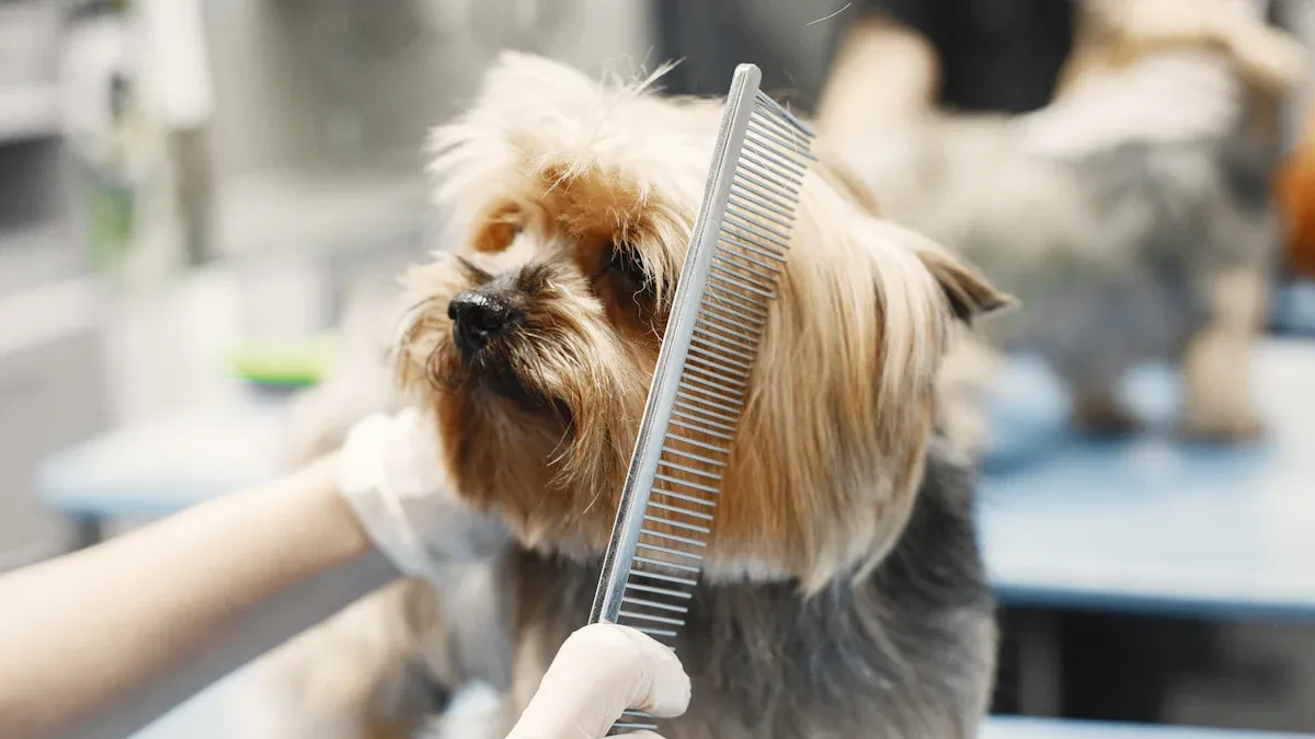 Step-by-Step Solutions for At-Home Dog Grooming