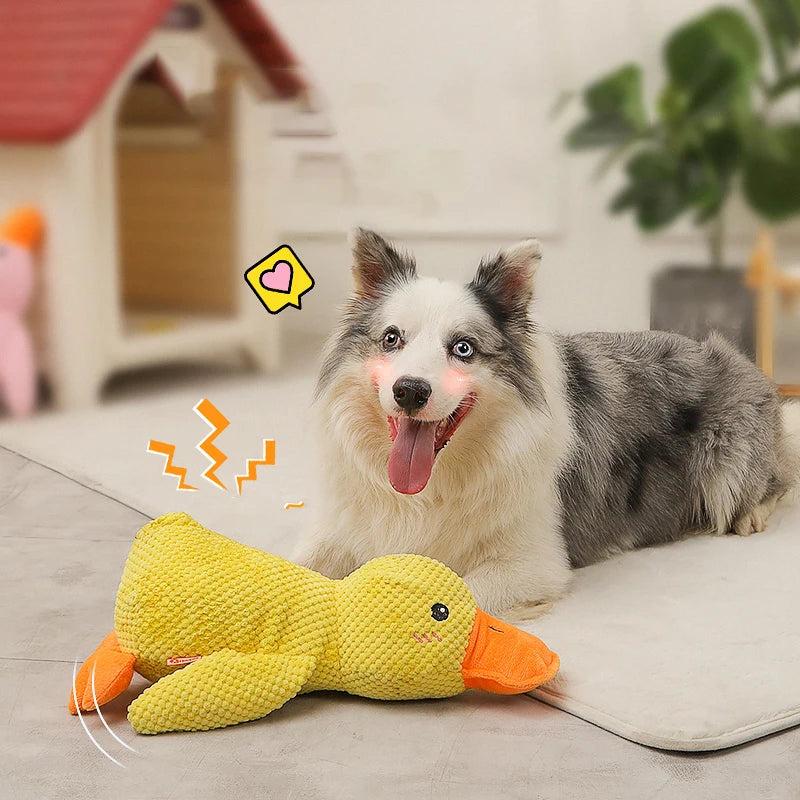 3 Ways the Duck Chew Toy Eases Dog Anxiety