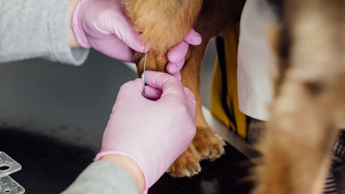 How to Trim Dog Nails at Home: Safe, Easy, and Fear-Free Guide for 2025