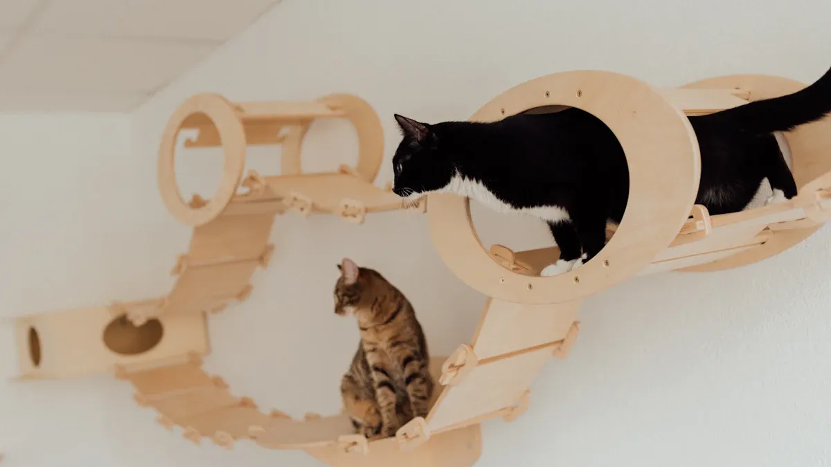 Wall-Mounted Cat Shelves