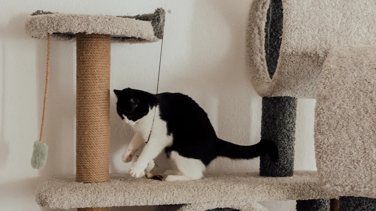Sustainable Cat Furniture Showcase