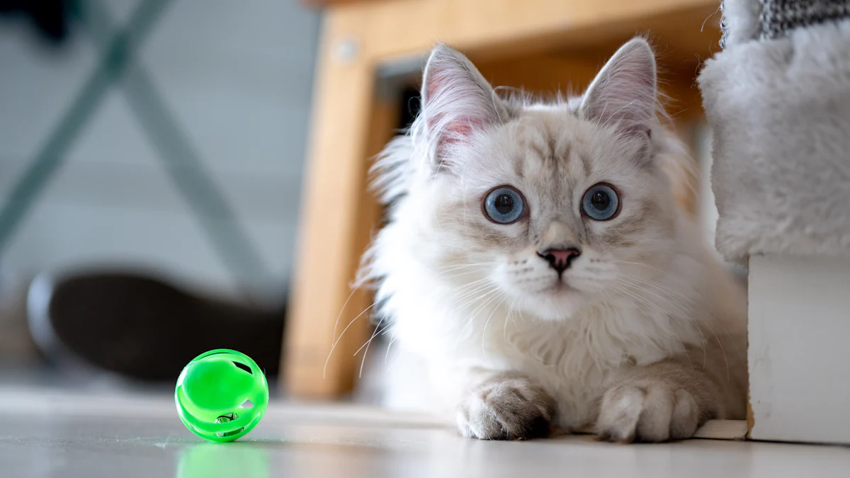 How to Pick the Perfect Cat Spring Toy