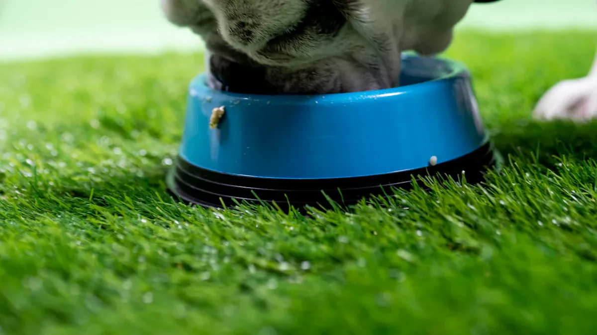 Benefits of Using a Slow Feeder Dog Bowl
