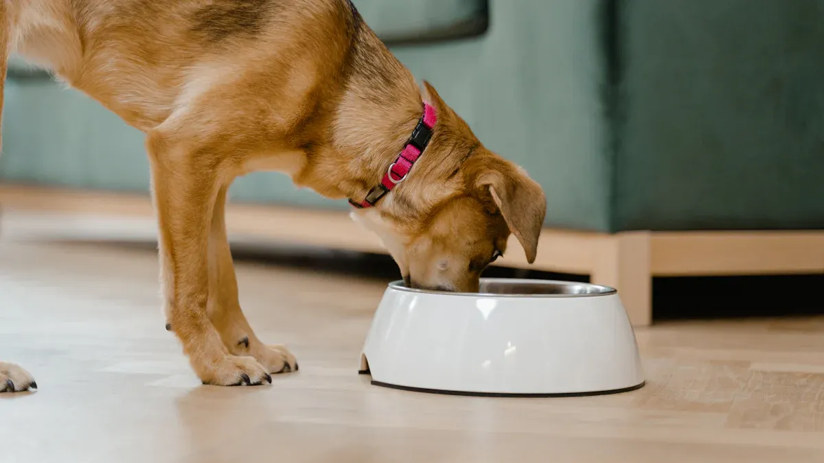 The Benefits of Smart Pet Feeders: How Scheduled Feeding Supports Pet Health