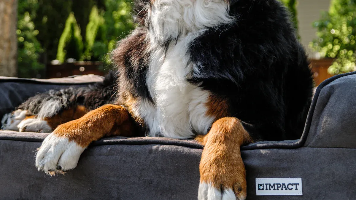 Sustainable Dog Beds for the Planet