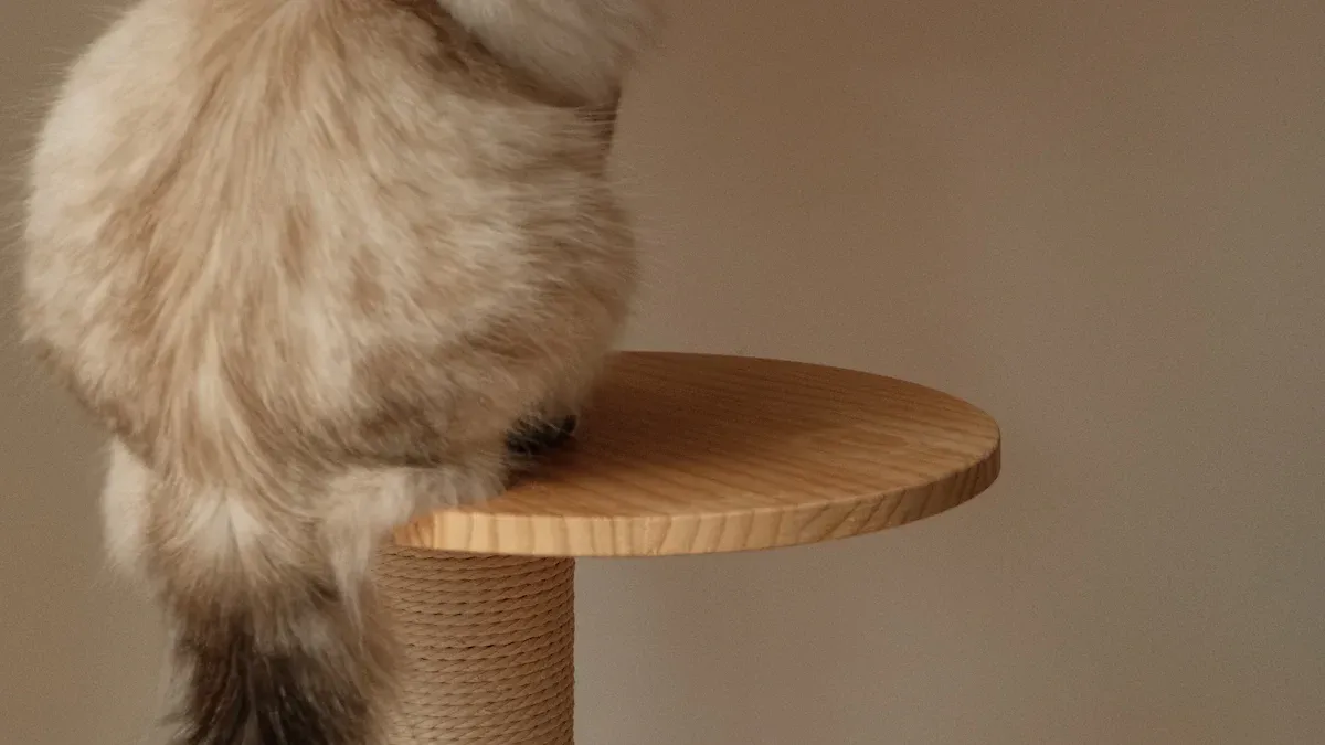Tools to Stop Your Cats from Scratching Furniture