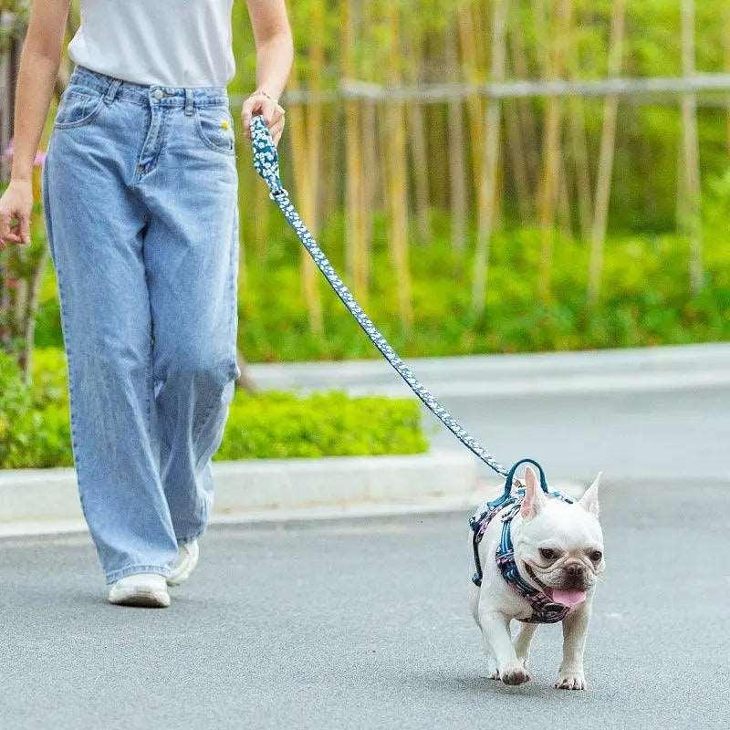 Retractable Leash for Large Dogs