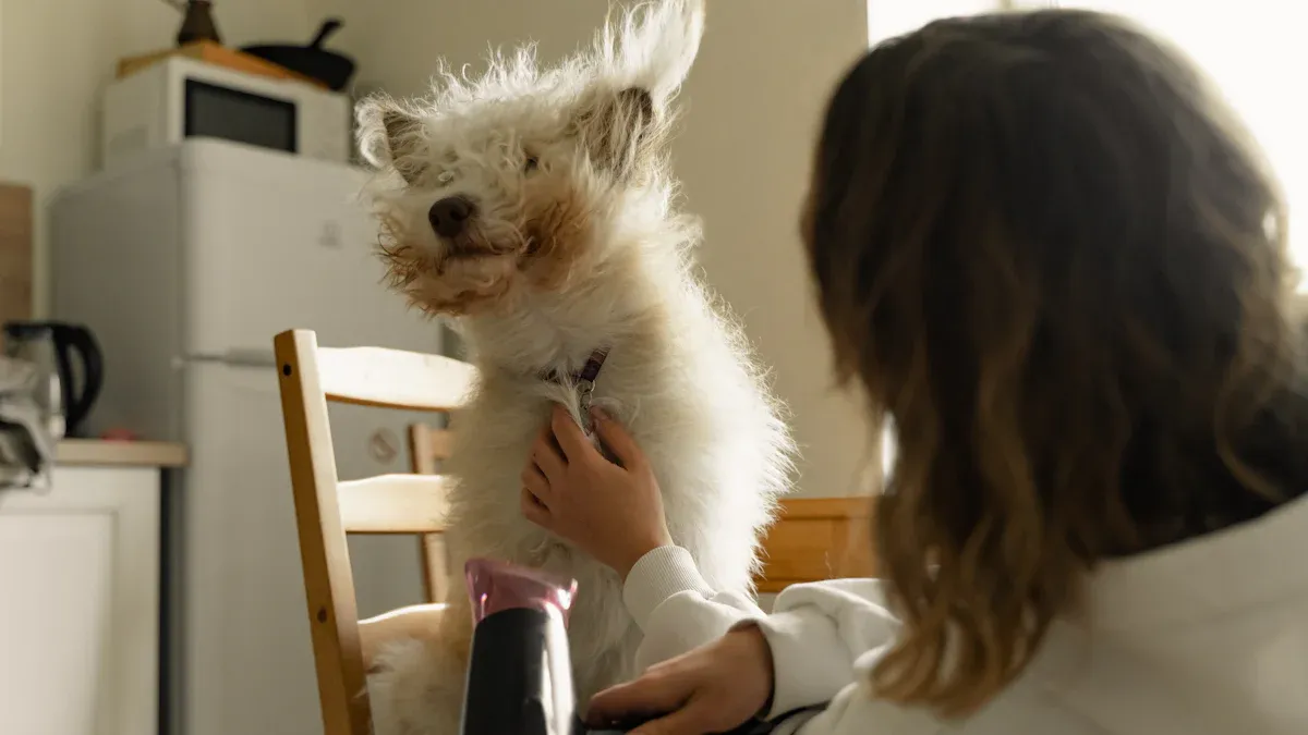 Preparing to Groom Your Dog at Home