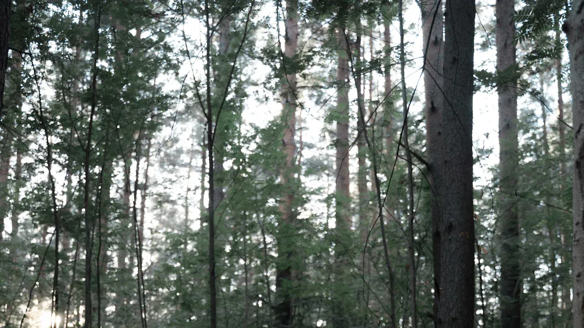 Individual