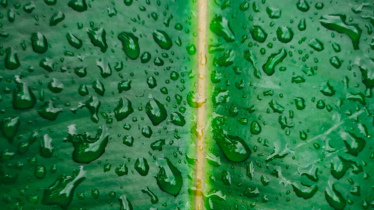 气培法中的用水效率