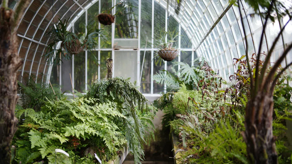 Environmental Controls in Your Greenhouse Layout