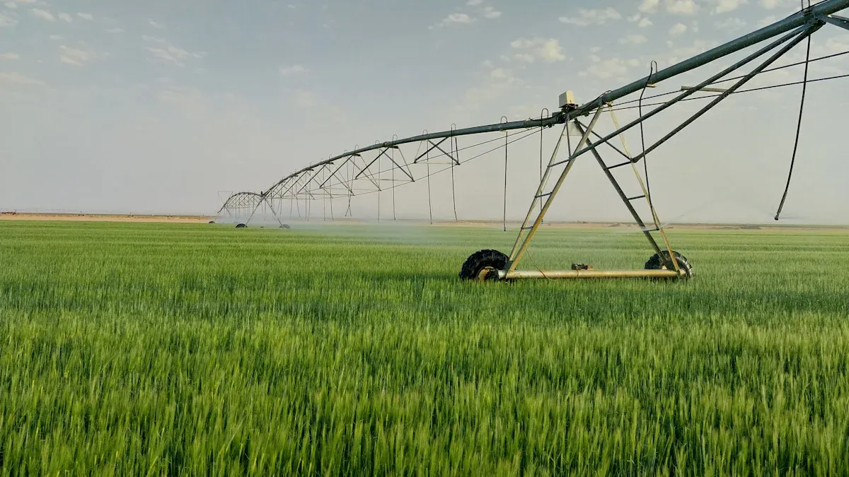 Économies d'eau de 75 % dans les projets de serres aux Émirats arabes unis