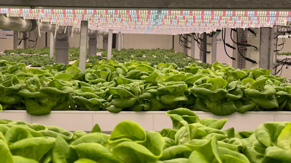 10 Cost-Saving Strategies When Partnering with Hydroponic OEM Manufacturers
