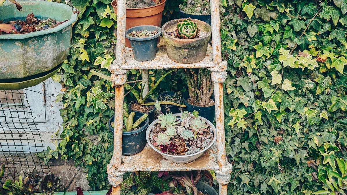 Kits de jardín vertical que ahorran espacio para apartamentos tipo estudio  de menos de 50 pies cuadrados - Miilkiia, image size:1200x675