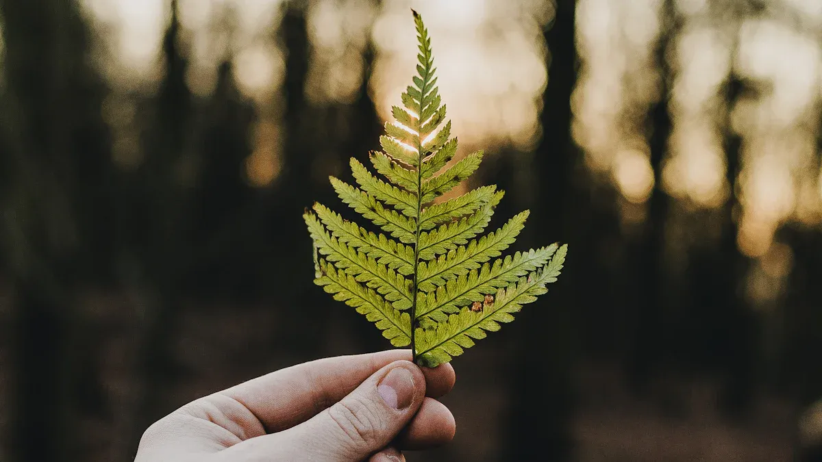 ISO 14001支持的可持续实践