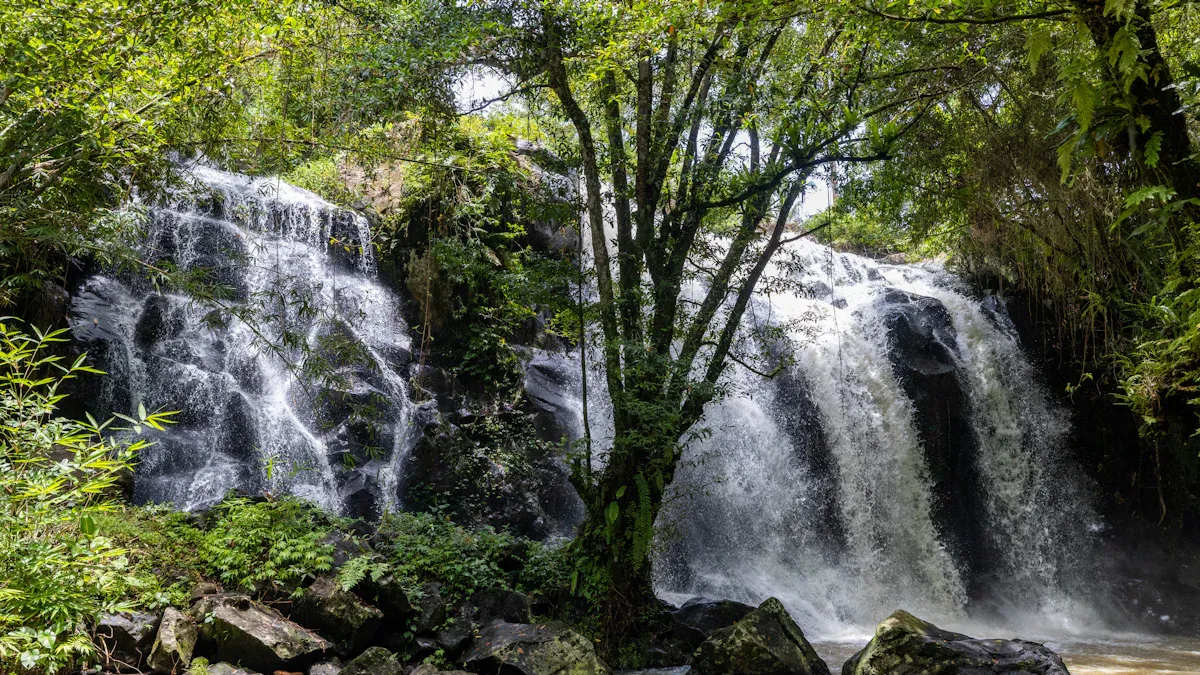 绿色金融与可持续