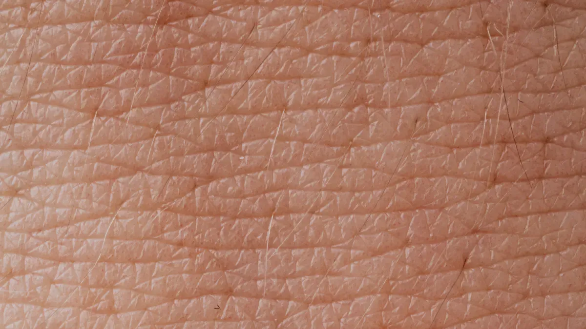 Full Grain Leather Hide Structure