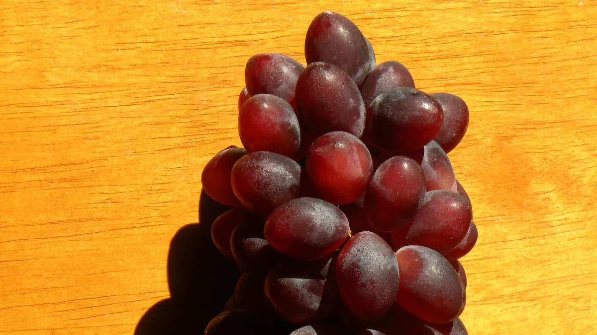 Antioxidant Benefits of Grape Seed Extract