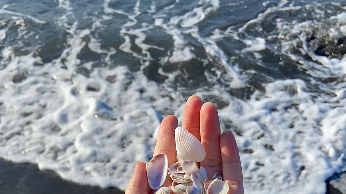 Beach Vibes