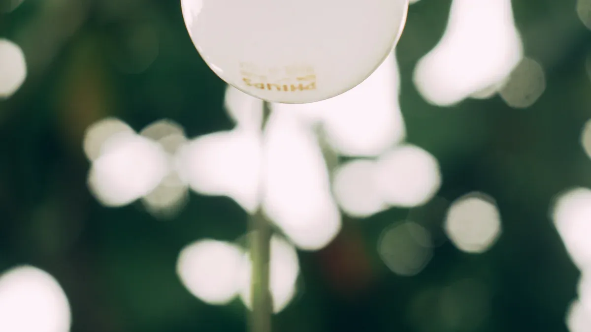 Which outdoor lighting bulb is right for you