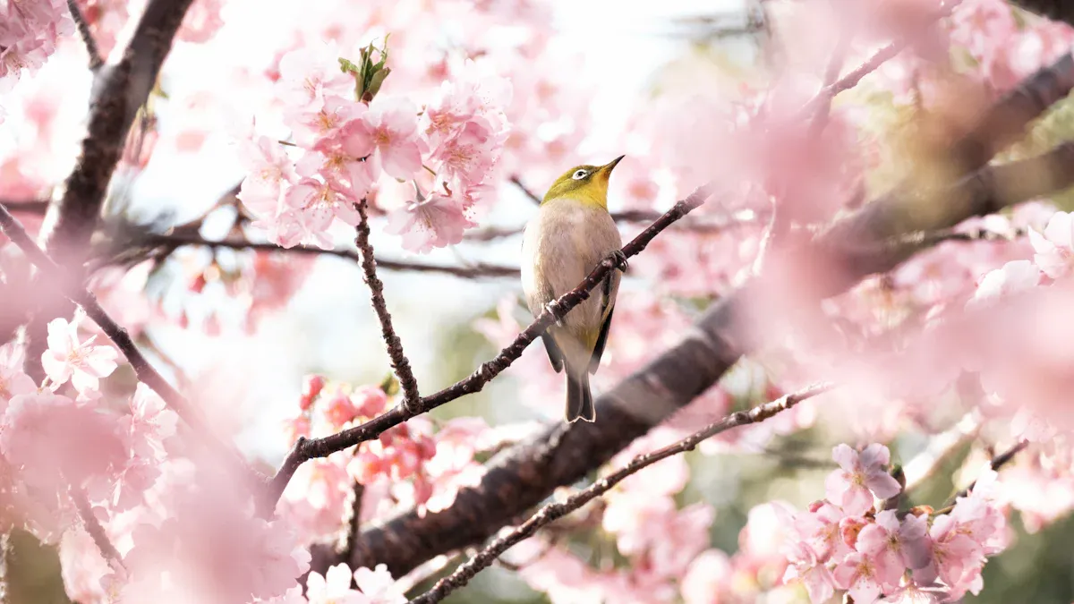 Seedance 2.0 Cinematic Performance