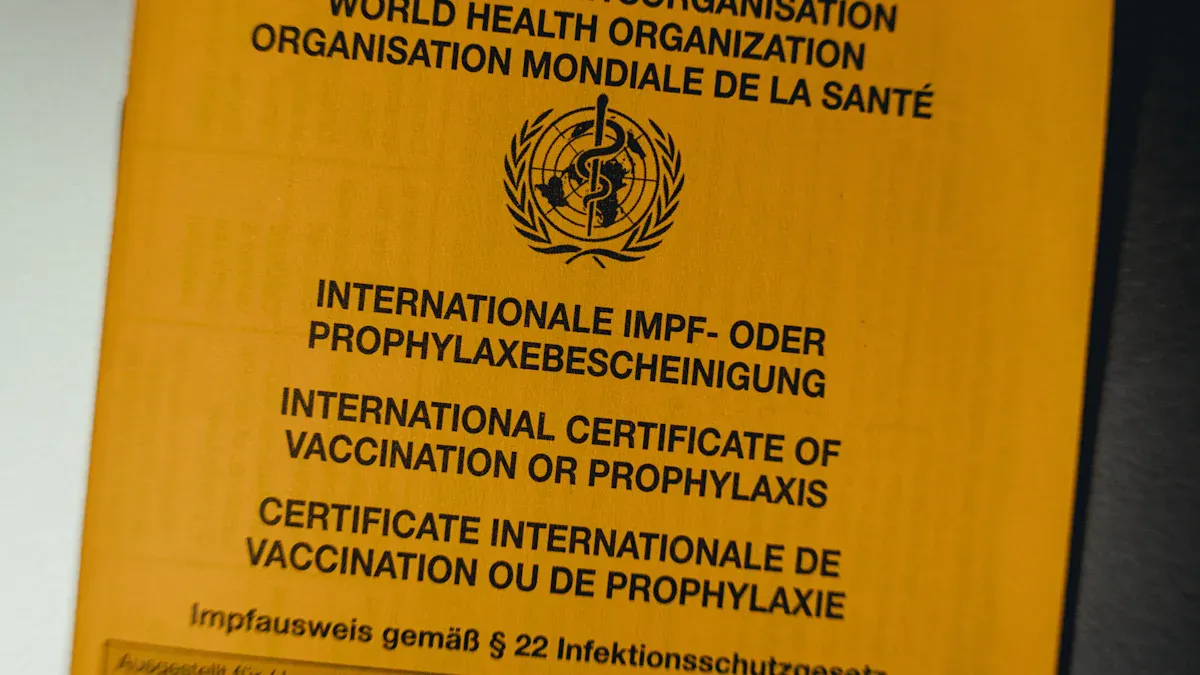 WHO Prequalification For Global Market Access