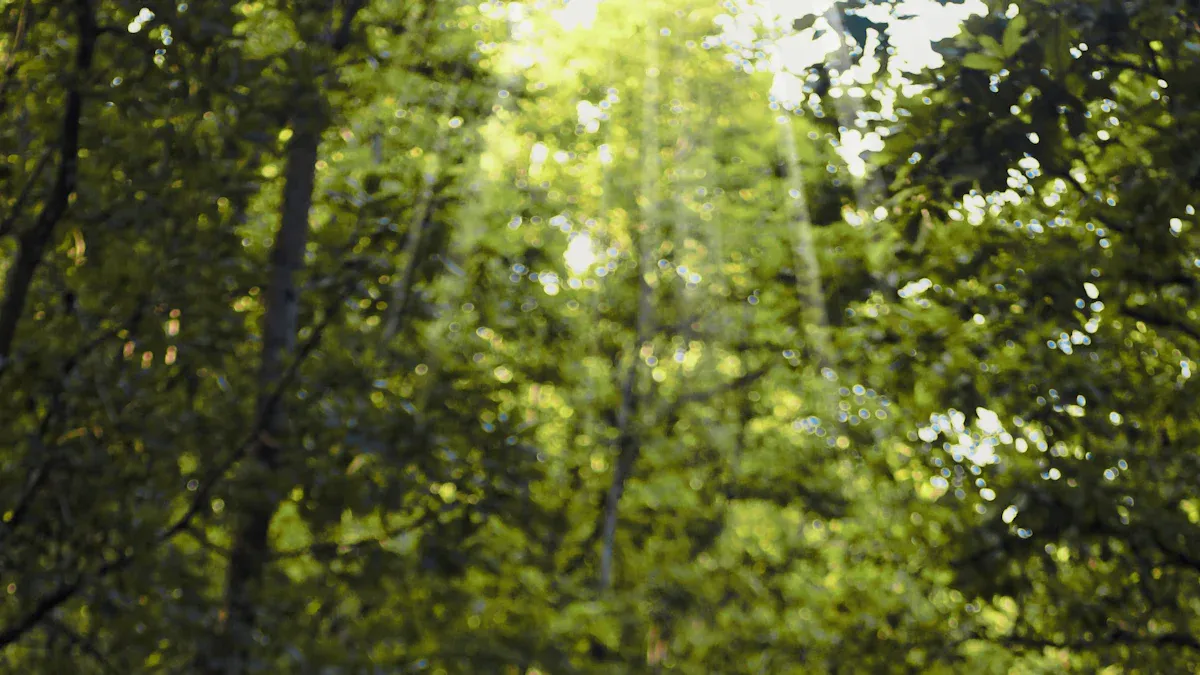 Energy Efficiency & Sustainability Practices