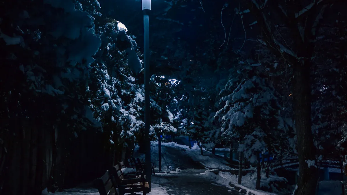 All-in-One Solar Street Lights in Cold Regions