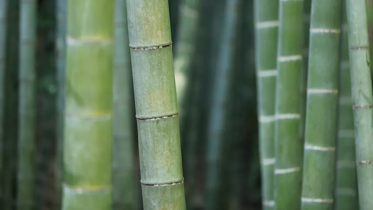 What Makes Bamboo Fabric a Truly Sustainable Star?
