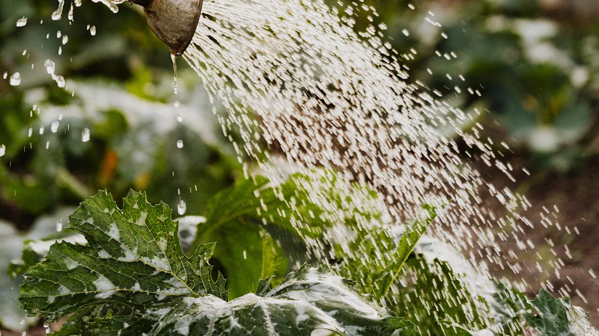 The use of watering can in gardening
