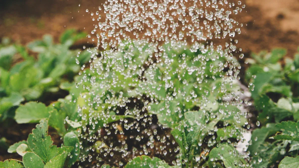 Choosing the Right Watering Can