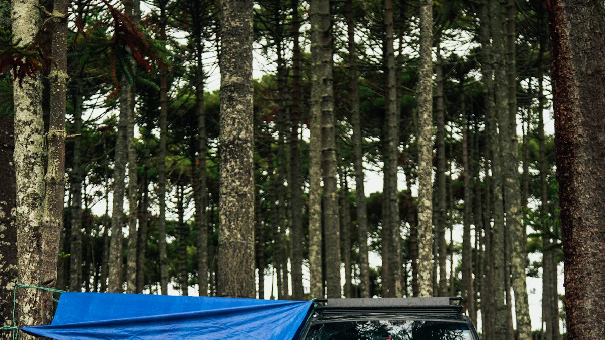 How to Hang Tarp for Shade: Steps