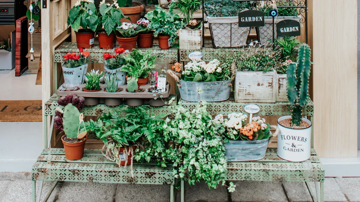Anniversary Flowers Austin: Local Choices