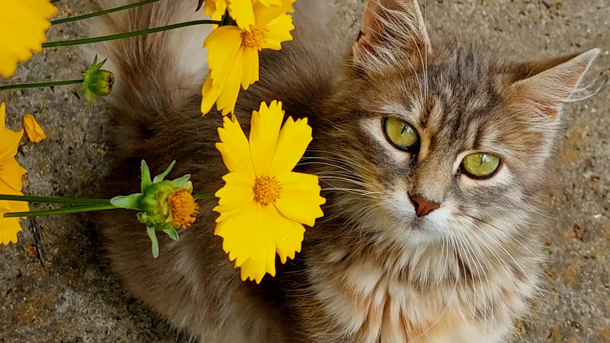 Pet-Friendly Flowers