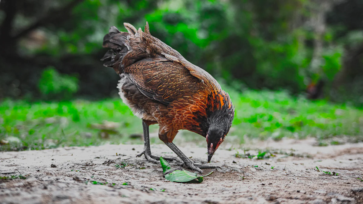 Industries Most Affected by Avian Influenza